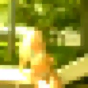 Charmante Ivana, 34 ans à Jassans-Riottier - voir sa photo