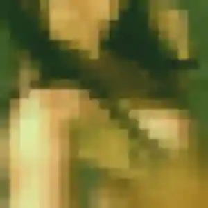 Belle Morgane, 29 ans à Jaunay-Marigny - découvrir son profil