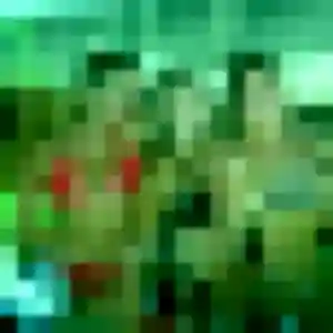 Profil de Gaia à Jeumont (19 ans) - plan cul sans inscription