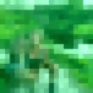 Photo de Emeraude à Joigny (28 ans) - plan cul anonyme