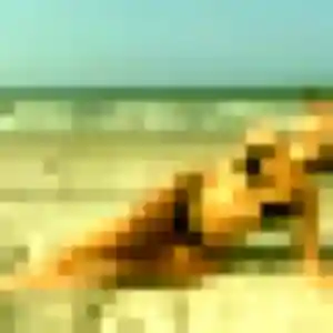 Elodie de Kembs, 40 ans - plan cul en toute liberté