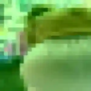 plan cul à Koungou : photo de Uranie, 25 ans - inscription gratuite