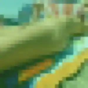 plan cul à L'Arbresle : profil de Yolande, 33 ans - inscription gratuite