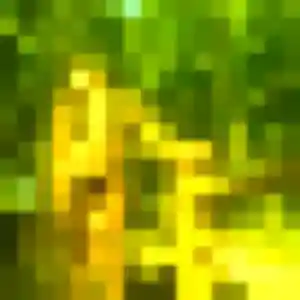 Photo privée de Alicia, 45 ans à L'Isle-Jourdain - rencontre coquine