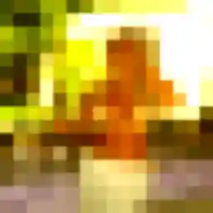 Photo privée de Eglantine, 33 ans à L'Union - rencontre sans lendemain