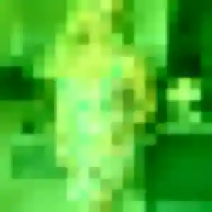 Découvre Elsa, 29 ans à La Baule-Escoublac en t'inscrivant