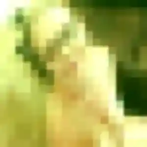 Découvre Cecile, 29 ans à La Celle-Saint-Cloud en privé