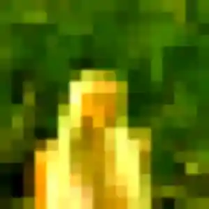 Sexy Margaux, 31 ans à La Chapelle-d'Armentières - découvrir son profil