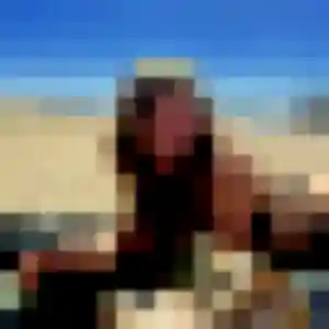 Marie-Jeanne, 42 ans, disponible à La Crau pour un plan cul