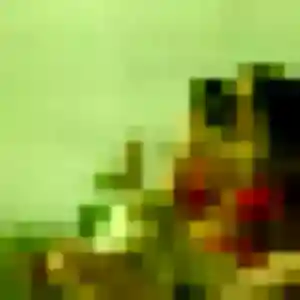 plan cul à La Fare-les-Oliviers : profil de Alessandra, 23 ans - inscription gratuite