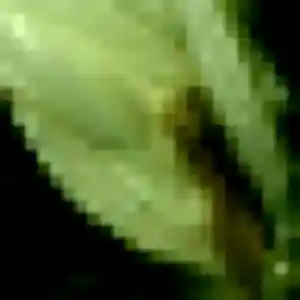 Lisa, 34 ans, disponible à La Ferté-Bernard pour un plan cul