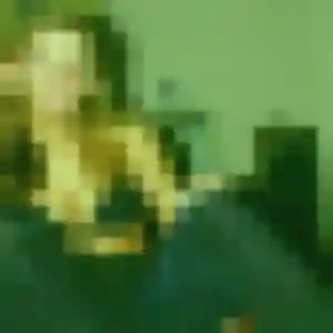 Charmante Clemence, 20 ans à La Ferté Macé - découvrir son profil