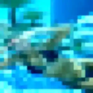 Belle Hermine, 43 ans à La Flèche - voir sa photo