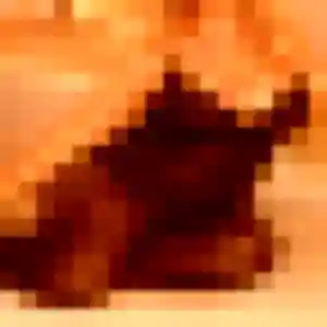 Contacte Dana, 39 ans à La Montagne en privé