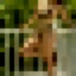 Veronique (41 ans) à La Mulatière cherche un plan cul maintenant