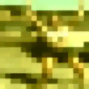 Candice, 37 ans, cherche un plan cul à La Penne-sur-Huveaune