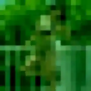 Découvre Honorine, 39 ans à La Ricamarie en t'inscrivant