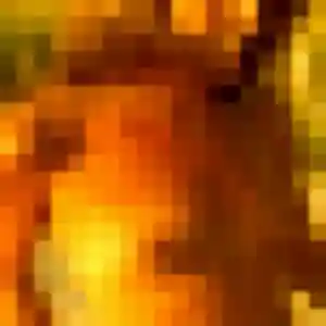 Roxane, 31 ans, veut un plan cul à La Roche-sur-Foron