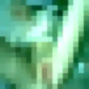 Charmante Madeleine, 39 ans à La Roche-sur-Yon - la contacter