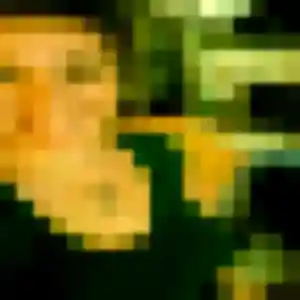 Profil de Thais à La Salvetat-Saint-Gilles (34 ans) - plan cul anonyme