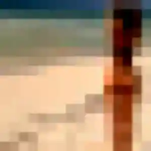 Photo privée de Ulrike, 26 ans à La Salvetat-Saint-Gilles - plan discret