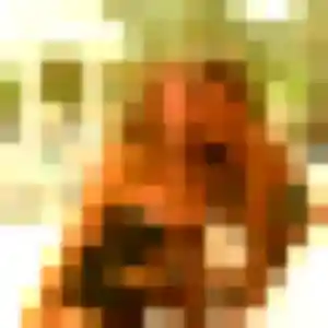 Verane, 35 ans, connectée à La Talaudière pour une rencontre coquine