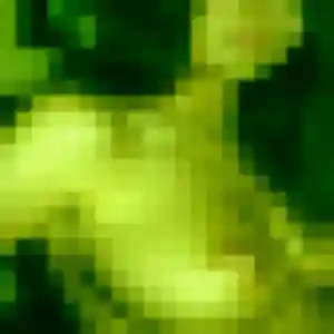 Diane, 22 ans, disponible à La Wantzenau pour un plan cul