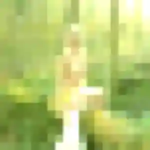 Profil de Alice à Lagny-sur-Marne (43 ans) - plan cul gratuit