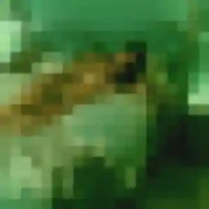 plan cul à Lagny-sur-Marne : photo de Maelys, 28 ans - inscription gratuite