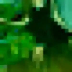 Contacte Judith, 26 ans à Lagord en t'inscrivant