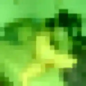 Photo de Ines à Lambersart (26 ans) - plan cul sans inscription