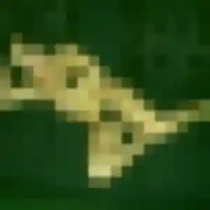 plan cul à Lambersart : photo de Yael, 38 ans - inscription gratuite