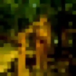 Photo sexy de Celia, 35 ans à Lançon-Provence - rencontre sans lendemain