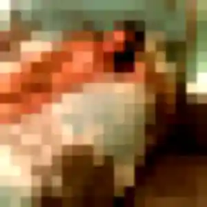 Salima, fille de 19 ans propose plan cul à Landerneau