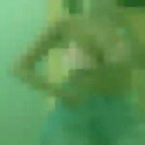 Cecile de Lannion, 37 ans - plan cul en toute liberté