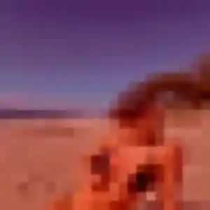 Iseult, 19 ans, connectée à Laxou pour une rencontre coquine