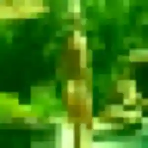 Nina (33 ans) à Le Bourget propose une rencontre ce soir