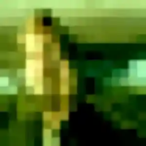 Valerie, femme de 32 ans propose plan cul à Le Cateau-Cambrésis