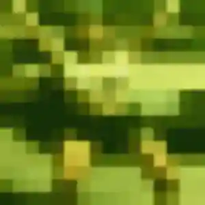 Laurence, 23 ans, veut un plan cul à Le Chambon-Feugerolles