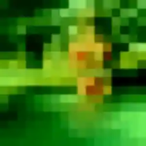 Rejoins Clemence, 41 ans à Le Controis-en-Sologne gratuitement