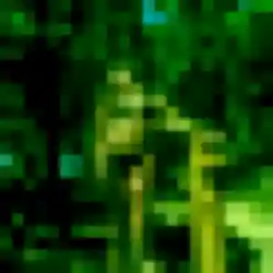 Photo de Rose-Marie à Le Controis-en-Sologne (32 ans) - plan cul anonyme