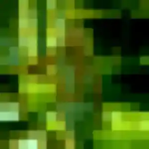 Profil de Fiona à Le Havre (35 ans) - plan cul gratuit