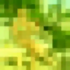 Violette, femme de 22 ans cherche plan cul à Le Havre