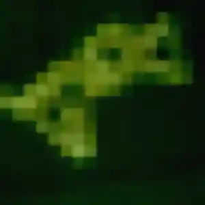 Photo perso de Iris, 33 ans à Le Kremlin-Bicêtre - plan discret