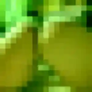 Contacte Iseult, 21 ans à Le Lion-d'Angers gratuitement