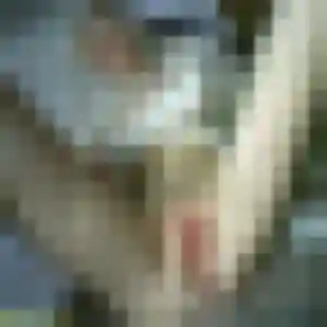 Photo exclusive de Louna, 20 ans à Le Passage - rencontre sans lendemain