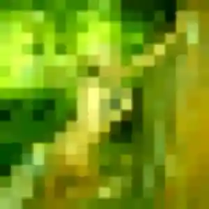 Rencontre Agathe, 31 ans à Le Péage-de-Roussillon en privé