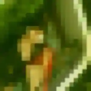 Photo privée de Fabienne, 26 ans à Le Pecq - rencontre sans lendemain