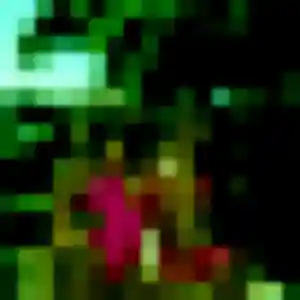 Helene, 31 ans, disponible à Le Poiré-sur-Vie pour une rencontre coquine