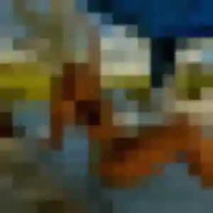 Photo exclusive de Faustine, 26 ans à Le Pontet - rencontre coquine